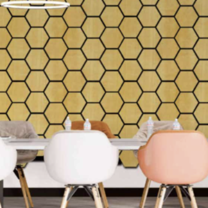Hexagon Acoustic
